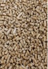 Versele-Laga Nature Houtkorrels 25 l 15 kg Versele-Laga Nature Houtkorrels 25 l 15 kg