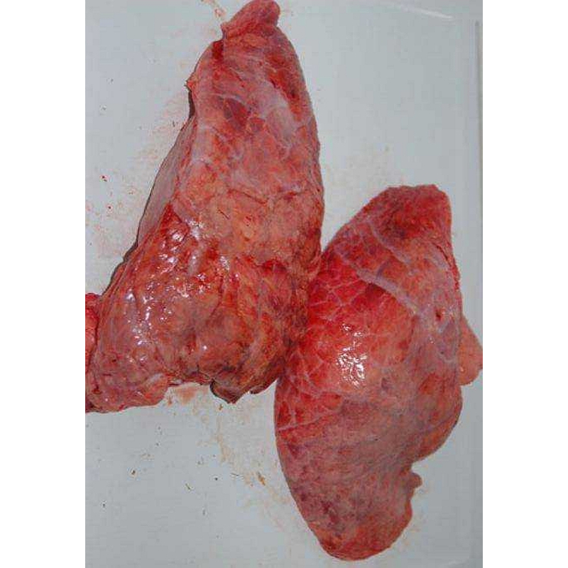 Runderlong 1000 gram