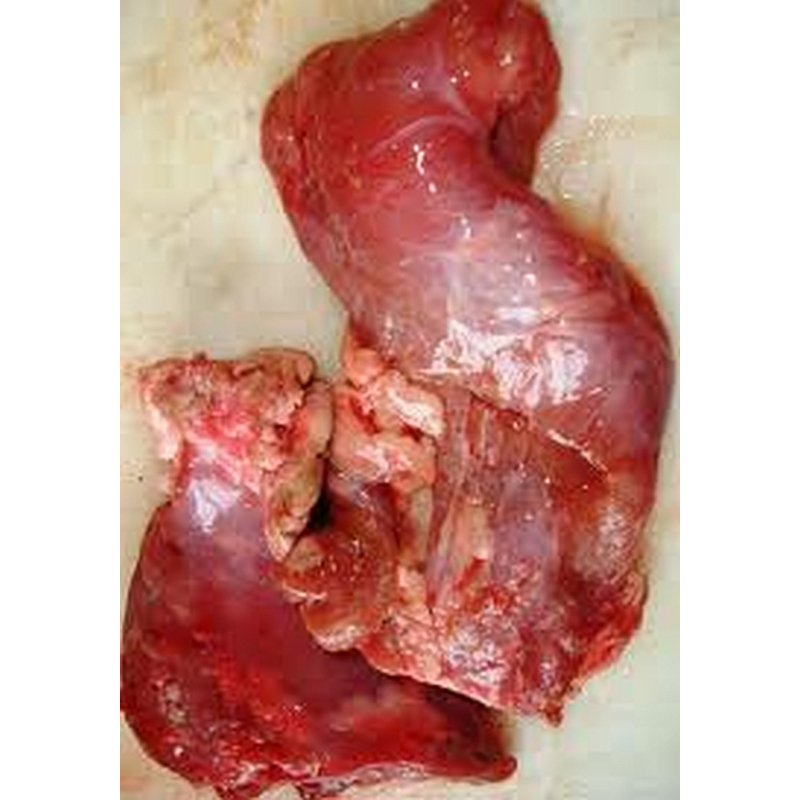 Runderpancreas 500 gram