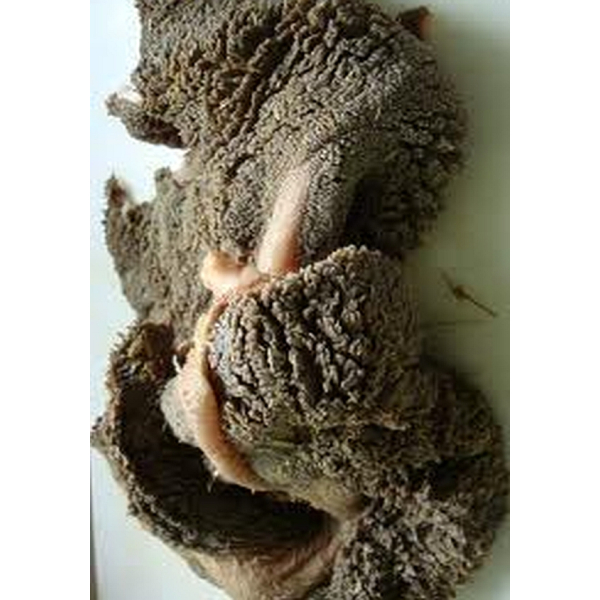 Schapenpens niet gemalen 1000 gram