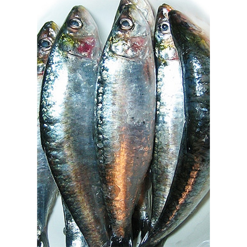 Sardientjes 500 gram