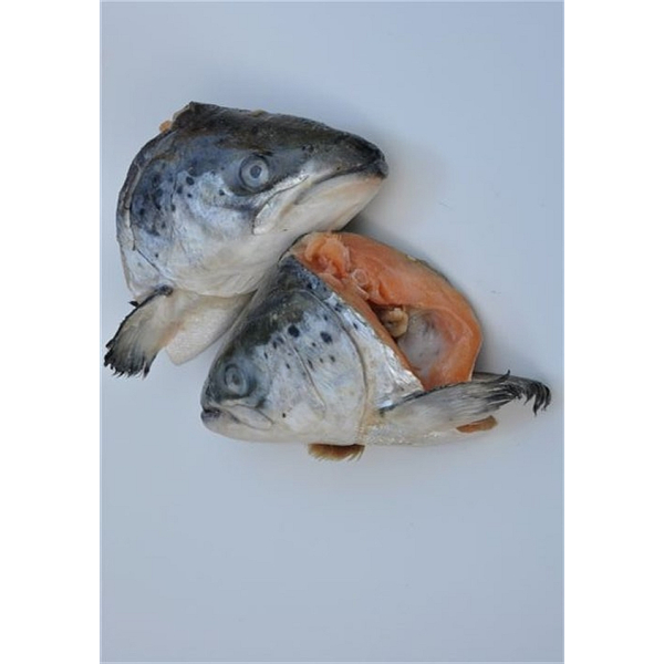 Zalmkoppen per twee