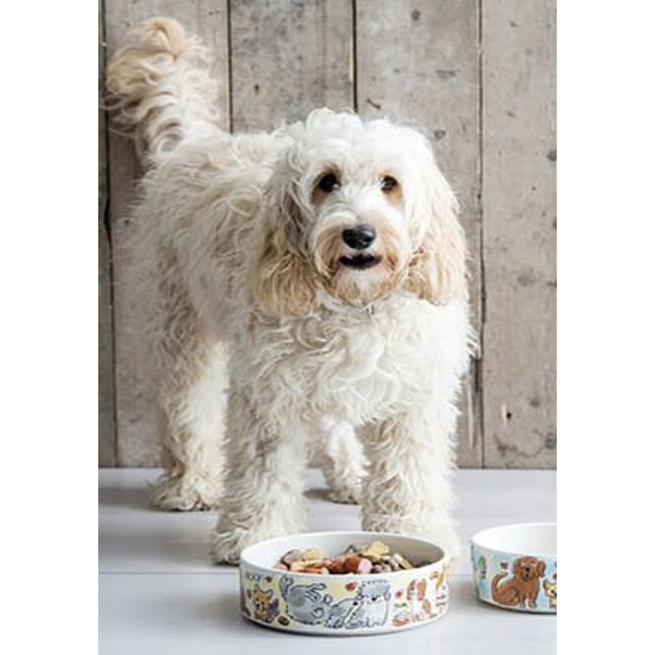 Medipetfood Spijsvertering 500 gram