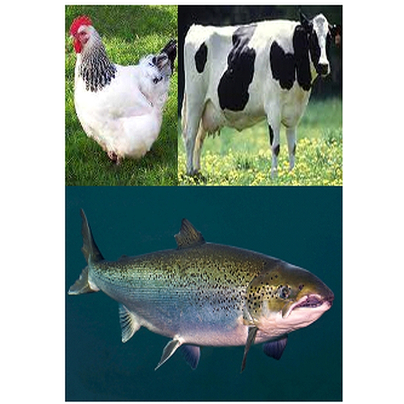 Prestige 3-mix 1000 gram