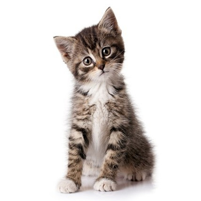 Beefmix rund 200 gram