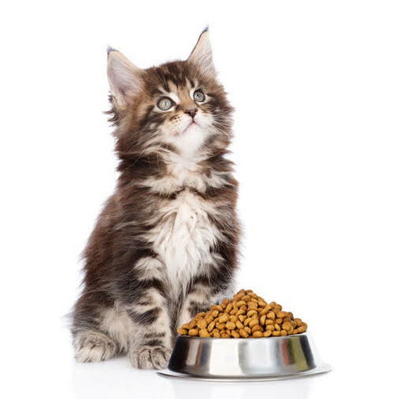 Kibbles Kat indoor premium 10 kg